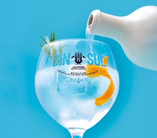 Das perfekte Mischverhältnis für Gin Tonic