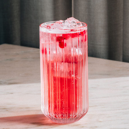 Senhorita Cranberry – Fruchtiger Gin Sul Cocktail mit Cranberry