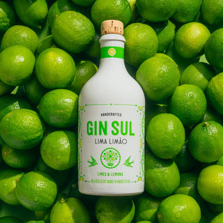Food Pairing mit Gin Sul Lima Limão