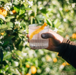 Gin Sul Citrus Specialist – Hand hält Cocktail-Tumbler mit Orangenzeste vor Bäumen