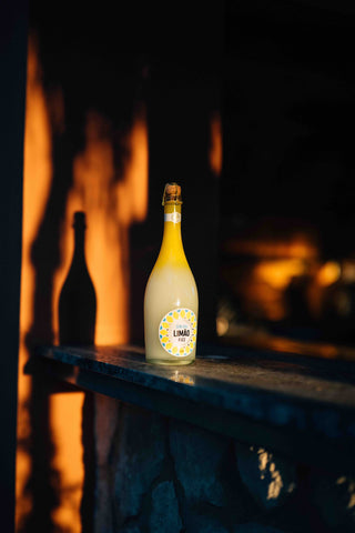 Gin Sul Limão Fizz einzelne Flasche vor warmem Kaminlicht – stimmungsvolles Abend-Stillleben