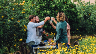 Gin Sul Citrus Specialist – drei Personen stoßen mit Gläsern in einem Zitrusgarten an